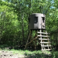 Country Home &nbsp; Hunting Land For Sale in Northeast TX images 6