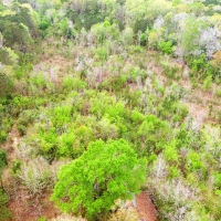 7.7 Acres Woodville Texas Homesite with Utilities AND Running Creek  10k Down images 3