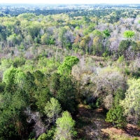 7.7 Acres Woodville Texas Homesite with Utilities AND Running Creek  10k Down images 4