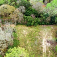 7.7 Acres Woodville Texas Homesite with Utilities AND Running Creek  10k Down images 6