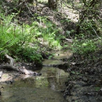 -27.40 Acres in the highly Coveted Community of Long Creek near the Chattooga River images 2