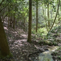 -27.40 Acres in the highly Coveted Community of Long Creek near the Chattooga River images 4