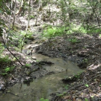 -27.40 Acres in the highly Coveted Community of Long Creek near the Chattooga River images 6