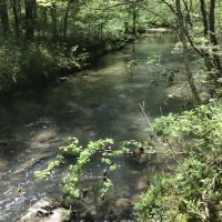 95 acres with stream available hunting lease
