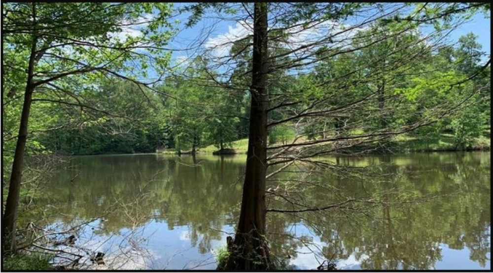 8 Acres with a Camper in Adams County at 34 Lake Montrose Road in Natchez  MS featured image