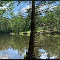 8 Acres with a Camper in Adams County at 34 Lake Montrose Road in Natchez  MS