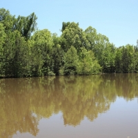 Great Homesite or Hunting Property