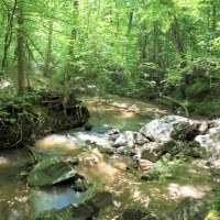 Great Homesite or Hunting Property images 5