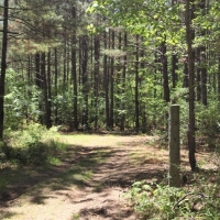 Great Homesite or Hunting Property images 6