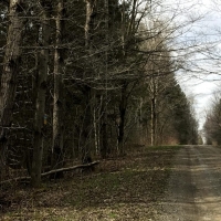 37 acres Cabin in DeRuyter NY images 3