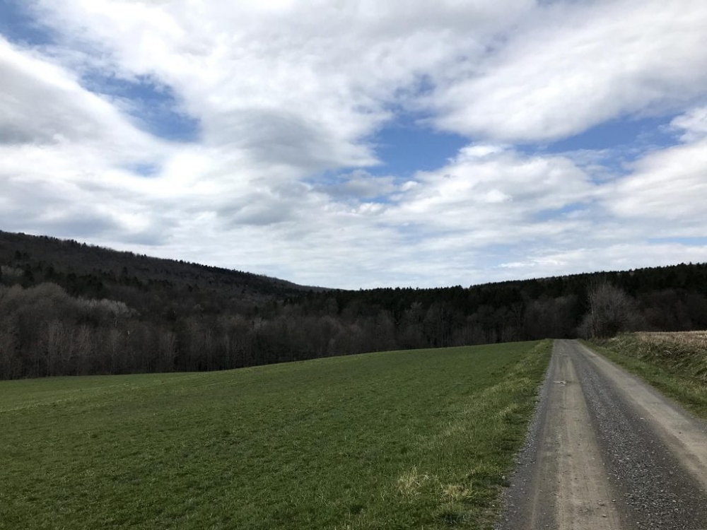 37 acres Cabin in DeRuyter NY featured image