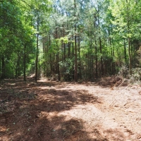 11.8 Acres Land for Sale Mature Trees McComb  Southwest MS images 5