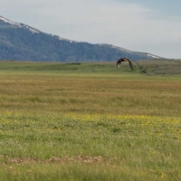 Mountain View Ranch images 3