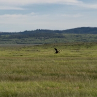 Mountain View Ranch images 4