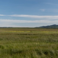 Mountain View Ranch images 5