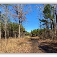 395 Acres in Marshall County in Red Banks  MS images 3