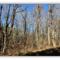 395 Acres in Marshall County in Red Banks  MS images 6