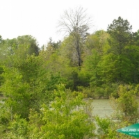38 ac - Timber and Hunting Tract images 3