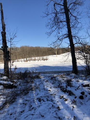 34 ac Hunting Greene NY Buckley Hollow Road featured image