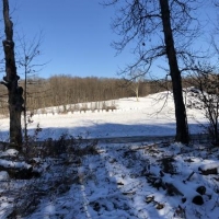 34 ac Hunting Greene NY Buckley Hollow Road