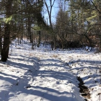 34 ac Hunting Greene NY Buckley Hollow Road images 2