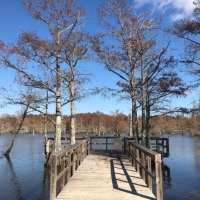 Equity Share in Leflore County in Greenwood MS at Backwater Brake Timber Company