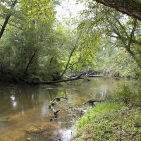 34.08 Acres of Hunting Fishing and Recreational Land