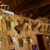 Equity Share in Holmes and Carroll County at Wilderness West Inc. images 3