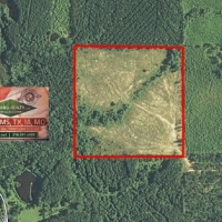 40 ac - Pine Plantation Hunting Tract - PRICE REDUCED