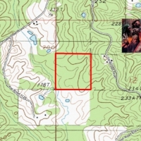 40 ac - Pine Plantation Hunting Tract - PRICE REDUCED images 2