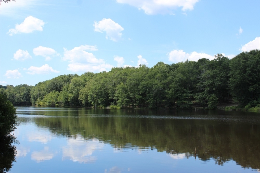 5 Lakes Totaling 33 Acres featured image
