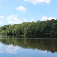 5 Lakes Totaling 33 Acres