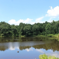 5 Lakes Totaling 33 Acres images 4