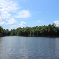 5 Lakes Totaling 33 Acres images 5