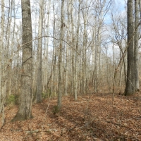 North Butts Co. near McDonough