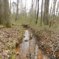 North Butts Co. near McDonough images 2