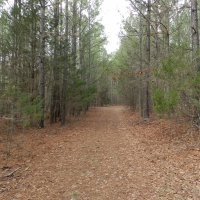 North Butts Co. near McDonough images 4
