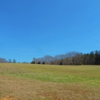 Pastureland Timber and 3 Ponds images 2