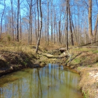 Pastureland Timber and 3 Ponds images 4