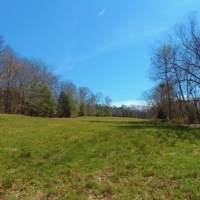 Pastureland Timber and 3 Ponds images 6