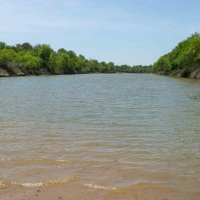 140 AC Cattle Hay Ranch on Brazos River