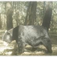 One Equity Share of Montgomery Island Hunting Club in Desha County AR images 3