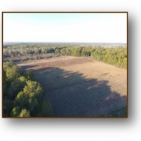 One Equity Share of Montgomery Island Hunting Club in Desha County AR images 6