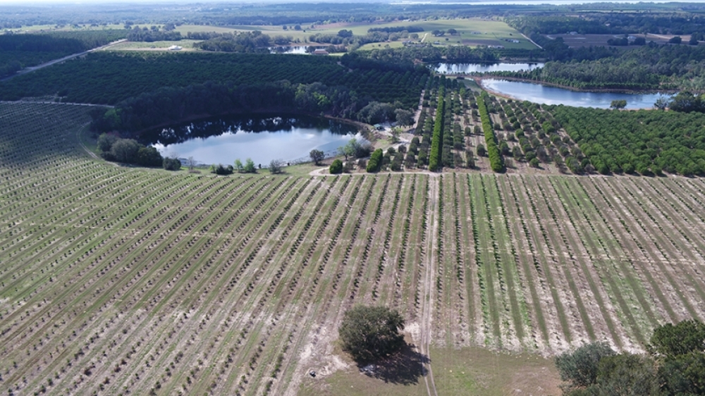 Wild Lakes Ranch in Weirsdale Florida featured image