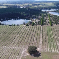 Wild Lakes Ranch in Weirsdale Florida