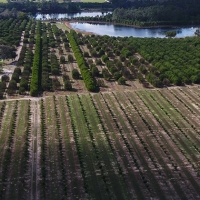 Wild Lakes Ranch in Weirsdale Florida images 3