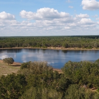 Wild Lakes Ranch in Weirsdale Florida images 4