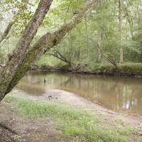 45.32 Acres of Hunting Fishing and Recreational Land images 2
