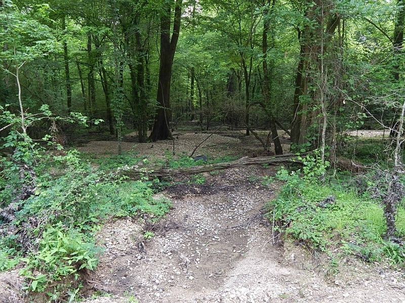 1784 Acres in Marion County in Columbia MS featured image