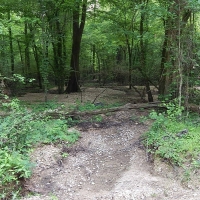 1784 Acres in Marion County in Columbia MS